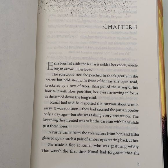 Hardcover The archer at dawn by swati teerdhala fantasty book tiger at midnight - Picture 4 of 10